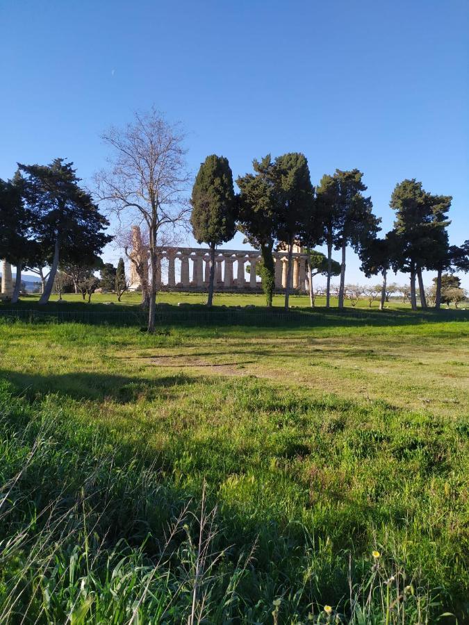 Goethe Paestum House 아파트 외부 사진